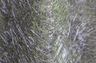 High Bankhill fibreglass roof work